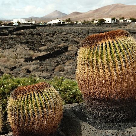 Casa Layka, Con Maravillosas Vistas Al Mar La Asomada  Екстер'єр фото